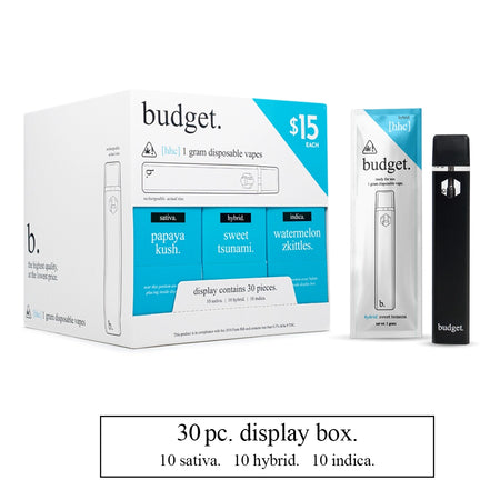 30pc Starter Box HHC 1 Gram Disposable Vape Pens by budget