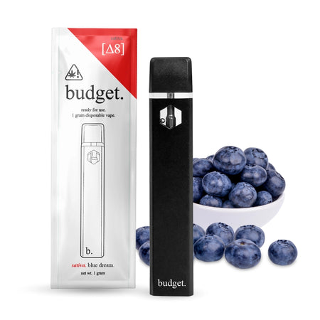 Budget 1G Delta-8 Disposable Vape Pens - Blue Dream - Sativa