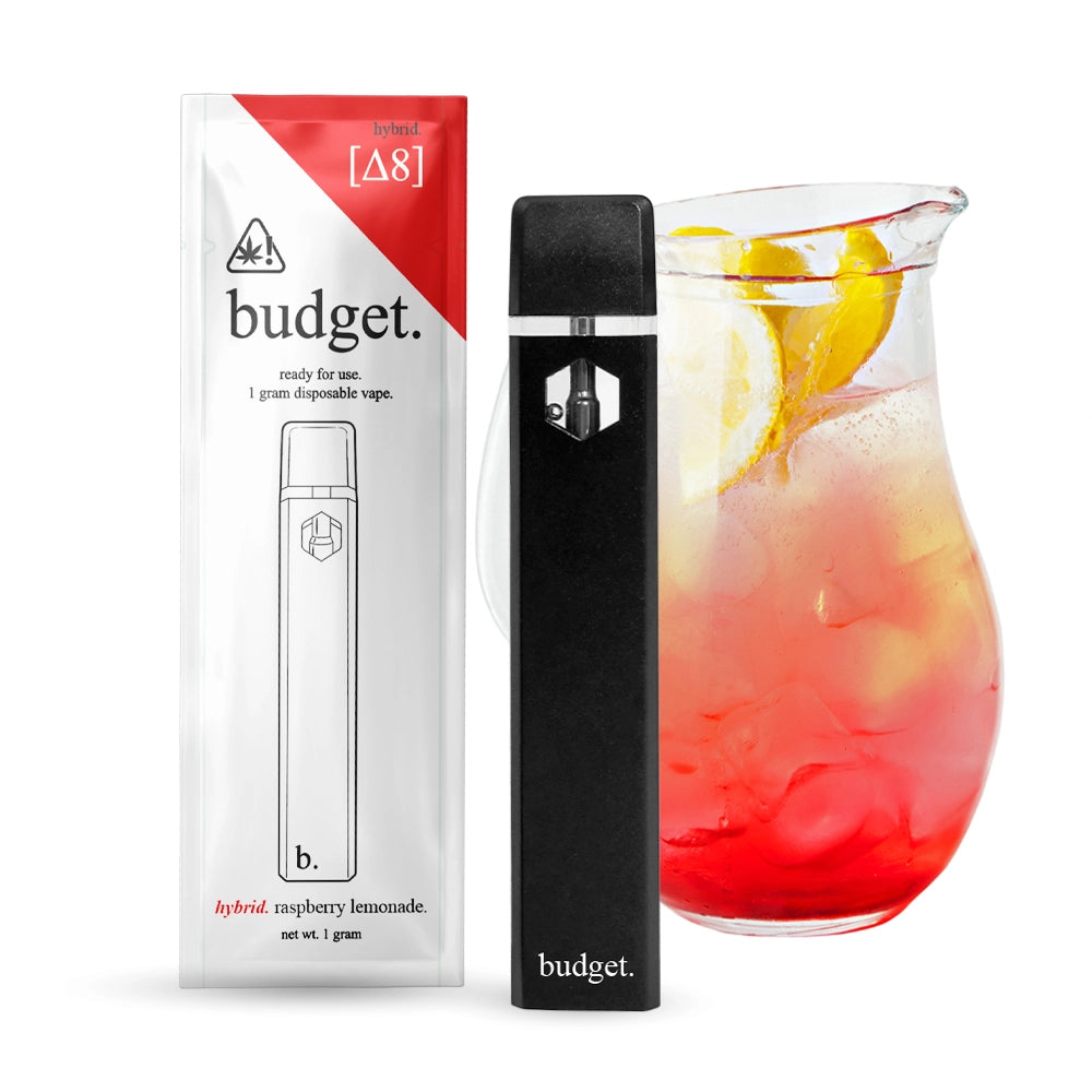 Budget 1G Delta-8 Disposable Vape Pens - Raspberry Lemonade - Hybrid