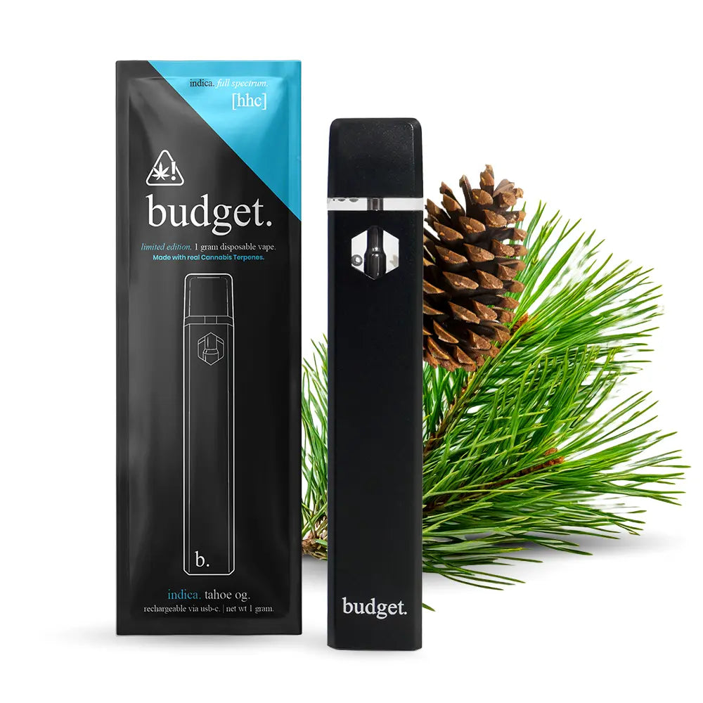 Budget 1G HHC Disposable Vape Pen - Tahoe OG - Indica